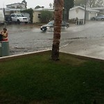 Street Flooded at 8917 8937 Hammond Drive San Diego