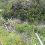 Damaged Guardrail at 5316 5372 Montezuma Road San Diego