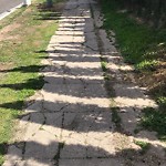 Sidewalk at 3001–3027 Cedar St