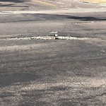 Pothole at 4001–4049 Wightman St