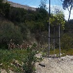 Illegal Dumping - Open Space/Canyon/Park at Sr 15 Commuter Bikeway