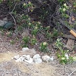 Illegal Dumping - Open Space/Canyon/Park at 2673 Golf Course Dr