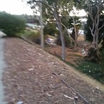 Illegal Dumping - Open Space/Canyon/Park at 2904 Camino Del Rio S