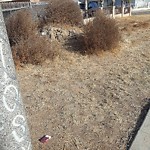 Illegal Dumping - Open Space/Canyon/Park at 8035 Pala St