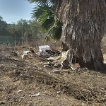 Illegal Dumping - Open Space/Canyon/Park at 856 S Gregory St