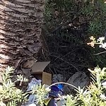 Illegal Dumping - Open Space/Canyon/Park at 2894 C St