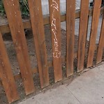Graffiti at 5029 Lotus St