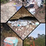 Illegal Dumping - Open Space/Canyon/Park at 4442 Maple St