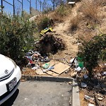 Illegal Dumping - Open Space/Canyon/Park at 3645 Midway Dr