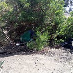 Illegal Dumping - Open Space/Canyon/Park at 2600 Golf Course Dr