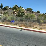 Illegal Dumping - Open Space/Canyon/Park at 3149–3199 Coronado Ave
