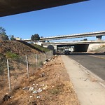 Illegal Dumping - Open Space/Canyon/Park at 1315 Rigel St