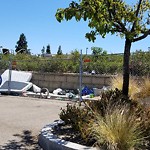 Illegal Dumping - Open Space/Canyon/Park at 6601 Mohawk St