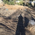 Illegal Dumping - Open Space/Canyon/Park at 2185–2329 8th Dr