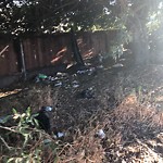 Illegal Dumping - Open Space/Canyon/Park at 4111–4199 Ocean View Blvd