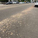 Street Sweeping at 2637–2651 Mission Blvd
