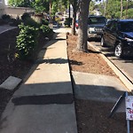 Sidewalk at 2133 Seagull Ln