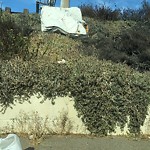 Damaged Guardrail at Pacific Hwy