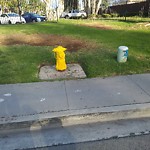 Curb at 1413 1599 27th St