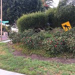 Traffic Sign at 15500–15628 Avenida Alcachofa