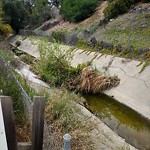 Storm Drain at 8000 Lake Cayuga Dr