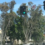 Signal Facing Wrong Direction at 10795–10799 Camino Ruiz