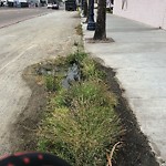 Street Flooded at 801–899 Pacific Hwy