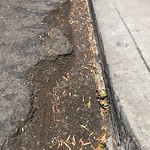 Pothole at 3619 42nd St