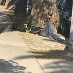 Sidewalk at 2438 Commercial St