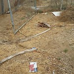 Illegal Dumping - Open Space/Canyon/Park at Rose Creek Trail