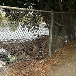 Illegal Dumping - Open Space/Canyon/Park at Rose Creek Trail