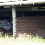 Graffiti at Rose Creek Trail