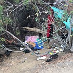 Illegal Dumping - Open Space/Canyon/Park at 4298 Whittier St