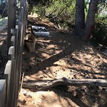 Illegal Dumping - Open Space/Canyon/Park at 3920 60th St