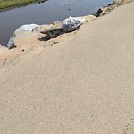 Illegal Dumping - Open Space/Canyon/Park at San Diego River Pathway