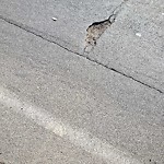 Pothole at 3883 Winona Ave