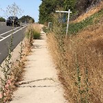 Sidewalk at 9009–9065 Lake Murray Blvd