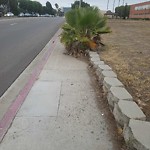 Sidewalk at 7401 Mesa College Dr