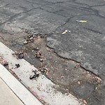 Pothole at 6506 Solita Ave