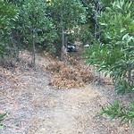 Illegal Dumping - Open Space/Canyon/Park at 1324–1520 26th St