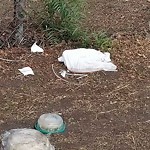 Illegal Dumping - Open Space/Canyon/Park at 244 19th St