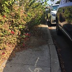 Sidewalk at 6203 La Jolla Blvd