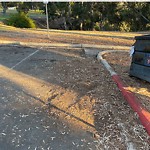 Street Sweeping at Balboa Dr