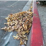 Street Sweeping at 1601–1699 Imperial Ave