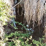 Storm Drain at 6627 Kelly St, San Diego, Ca 92111, Usa