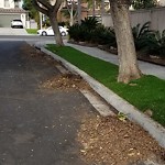 Street Sweeping at 8229 Torrey Gardens Pl, San Diego, Ca 92129, Usa