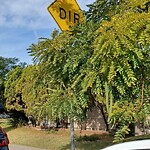 Traffic Sign at 4405 Louisiana St